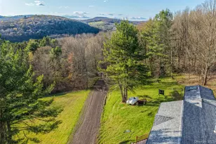 1264 Betty Brook Rd, Call Listing Agent, NY 13842 - Photo 7