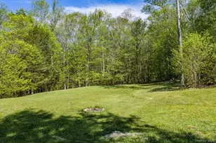 114 Turkey Hollow Ln, Livingston Manor, NY 12758 - Photo 39
