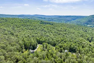 114 Turkey Hollow Ln, Livingston Manor, NY 12758 - Photo 45