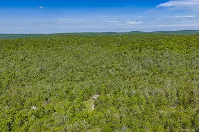 114 Turkey Hollow Lane, Livingston Manor, NY 12758 - Photo 41