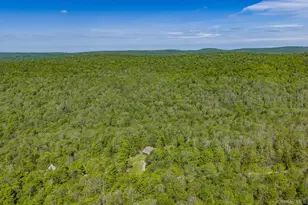 114 Turkey Hollow Ln, Livingston Manor, NY 12758 - Photo 41