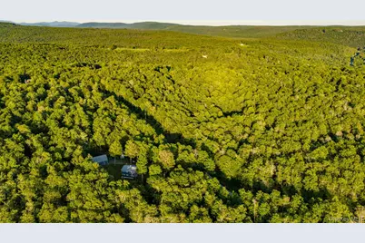34 Turkey Hollow Lane, Livingston Manor, NY 12758 - Photo 47