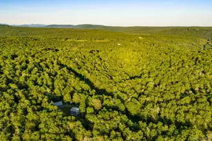 34 Turkey Hollow Ln, Livingston Manor, NY 12758 - Photo 47