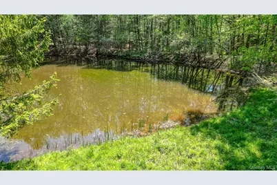 75 Stafford Road, Swan Lake, NY 12783 - Photo 9