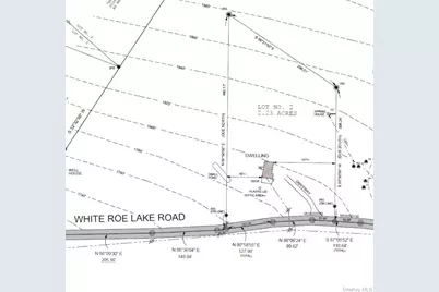 145 White Roe Lake Road, Livingston Manor, NY 12758 - Photo 21