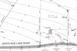 145 White Roe Lake Rd, Livingston Manor, NY 12758 - Photo 21
