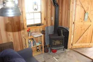 333 Peterson Dr, Roscoe, NY 12776 - Photo 11