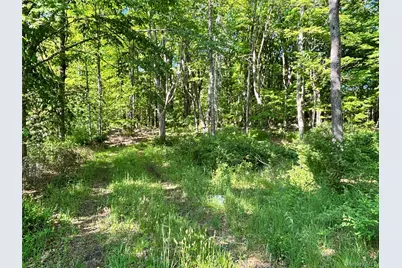 South Plank Road, Westtown, NY 10998 - Photo 13