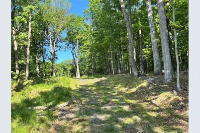 South Plank Road, Westtown, NY 10998 - Photo 3