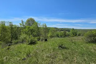 26 Beckys Hill Rd, Hurleyville, NY 12747 - Photo 43
