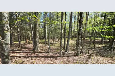 26 Beckys Hill Road, Hurleyville, NY 12747 - Photo 37