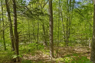 2802 Morgan Dr, Carmel, NY 10512 - Photo 29