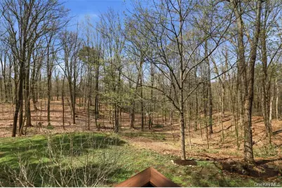 307 Old Kingston Road, New Paltz, NY 12561 - Photo 27
