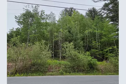 125 Zimmerman Road, Loch Sheldrake, NY 12733 - Photo 41
