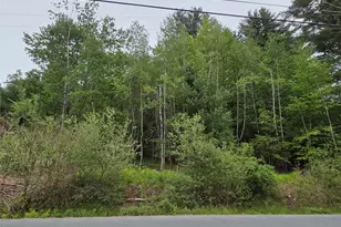125 Zimmerman Rd, Loch Sheldrake, NY 12733 - Photo 41