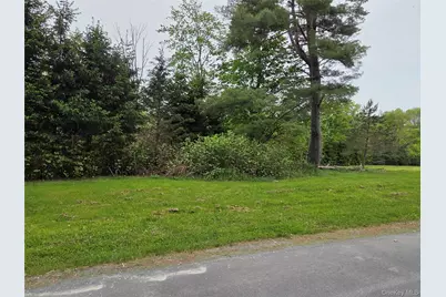 125 Zimmerman Road, Loch Sheldrake, NY 12733 - Photo 43