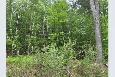 125 Zimmerman Road, Loch Sheldrake, NY 12733 - Photo 39