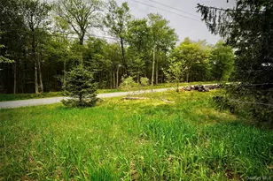 138 Old Hunter Rd, Livingston Manor, NY 12758 - Photo 29