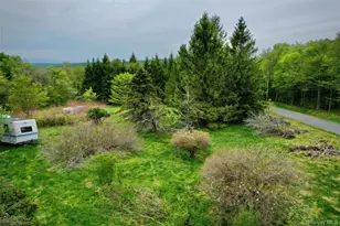 138 Old Hunter Rd, Livingston Manor, NY 12758 - Photo 15