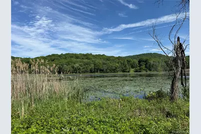 280 Route 164, Patterson, NY 12563 - Photo 33