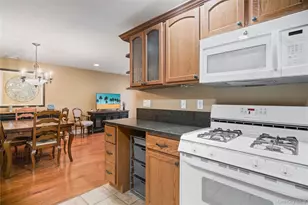 1075 Savoy Dr, Melville, NY 11747 - Photo 17