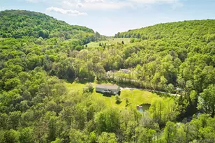 55 Hunter Rd, Parksville, NY 12768 - Photo 33