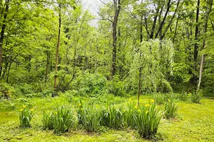 17 Gretna Hill Rd, Pleasant Valley, NY 12569 - Photo 13