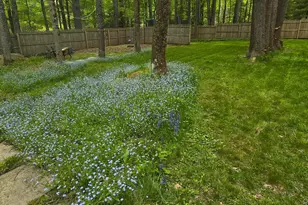 26 Ballard Rd, Mongaup Valley, NY 12762 - Photo 7