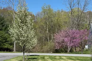 24 Mountain View Rd, Amenia, NY 12501 - Photo 11