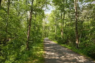 96 Plains Rd, New Paltz, NY 12561 - Photo 11