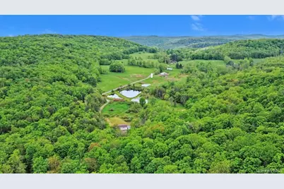 308 William Brown Road, Fremont Center, NY 12736 - Photo 33