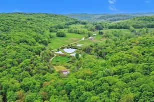 308 William Brown Rd, Fremont Center, NY 12736 - Photo 33