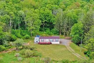308 William Brown Rd, Fremont Center, NY 12736 - Photo 9