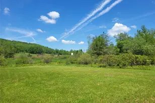308 William Brown Rd, Fremont Center, NY 12736 - Photo 31