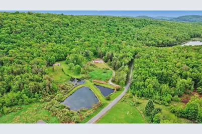 308 William Brown Road, Fremont Center, NY 12736 - Photo 5