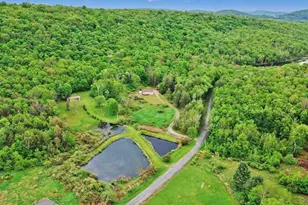 308 William Brown Rd, Fremont Center, NY 12736 - Photo 5