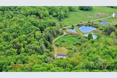 308 William Brown Road, Fremont Center, NY 12736 - Photo 7