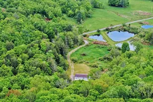 308 William Brown Rd, Fremont Center, NY 12736 - Photo 7