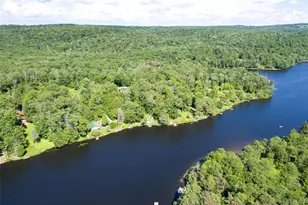 113 Lake Muskoday Rd, Roscoe, NY 12776 - Photo 27