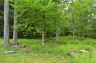 113 Lake Muskoday Rd, Roscoe, NY 12776 - Photo 23