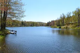 113 Lake Muskoday Rd, Roscoe, NY 12776 - Photo 27