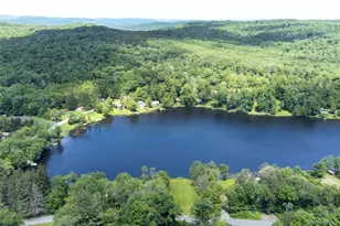 113 Lake Muskoday Rd, Roscoe, NY 12776 - Photo 25