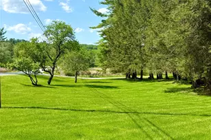 12 Mesmer, Callicoon, NY 12723 - Photo 5
