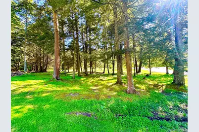 12 Mesmer, Callicoon, NY 12723 - Photo 17