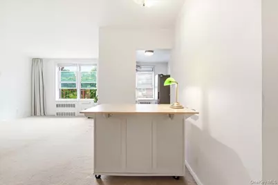 68-15 Selfridge Street #4F, Forest Hills, NY 11375 - Photo 11
