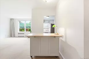 68-15 Selfridge St, Forest Hills, NY 11375 - Photo 11