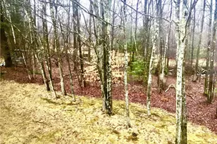 42 Krier Ln, Kiamesha Lake, NY 12751 - Photo 23