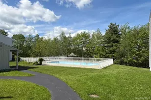 42 Krier Ln, Kiamesha Lake, NY 12751 - Photo 29