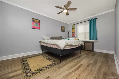 246 E 45th Street, Brooklyn, NY 11203 - Photo 17
