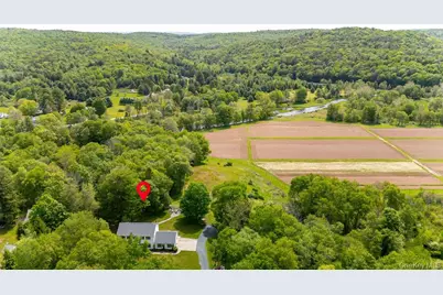 369 Grey Road, South Fallsburg, NY 12779 - Photo 45